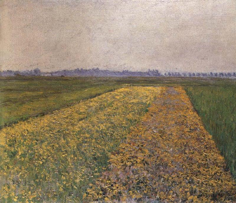 Gustave Caillebotte Yellow field China oil painting art